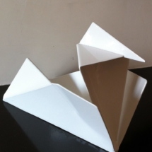 COLOMBE Origami